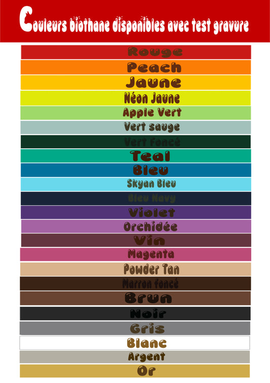 Laisse en biothane couleur uni