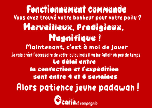 Arc en Ciel Extra Doudou jouet pour chat à la valérianne