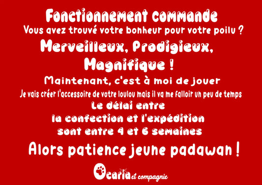 Carré crispy personnalisable jouet pour chat Van Life Ocaria et Compagnie