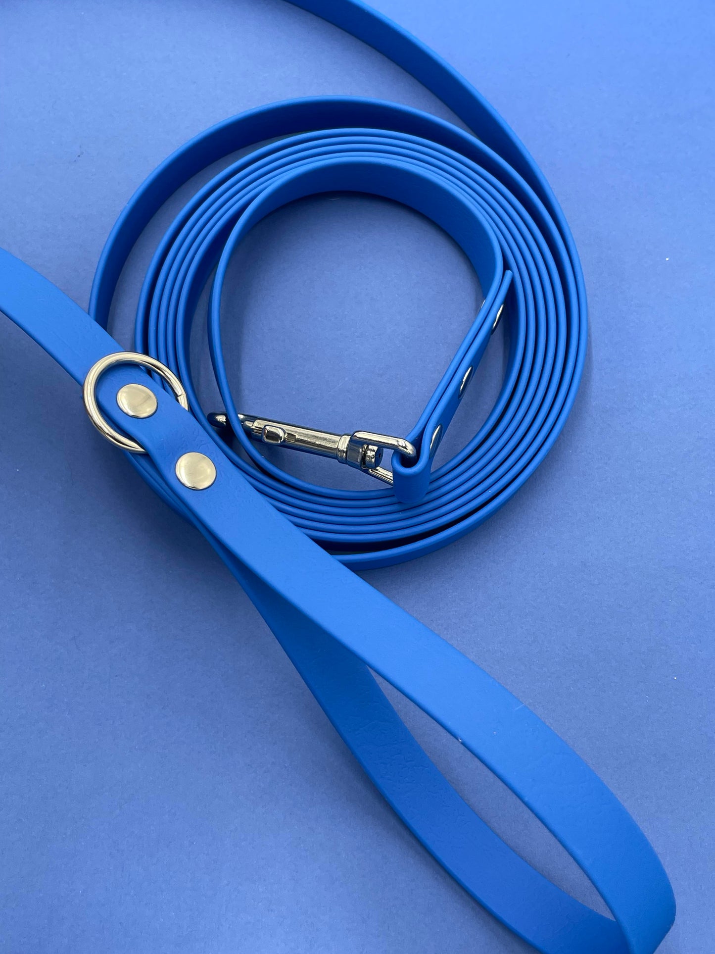 Laisse en biothane couleur uni