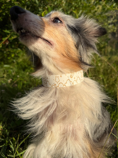 Collier biothane pour chien A mes tendres gardiens Pristi