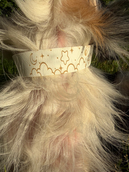 Collier biothane pour chien A mes tendres gardiens Pristi