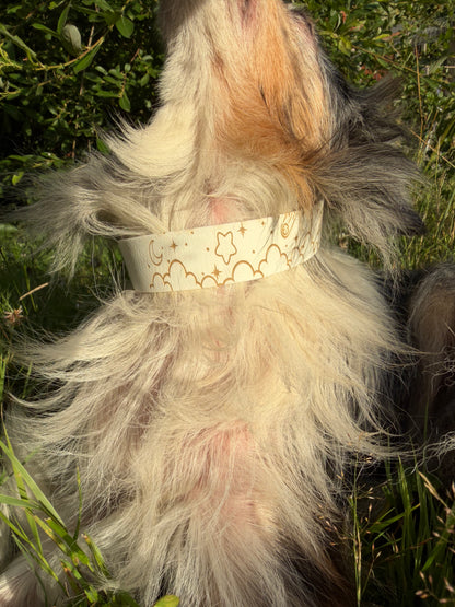 Collier biothane pour chien A mes tendres gardiens Pristi