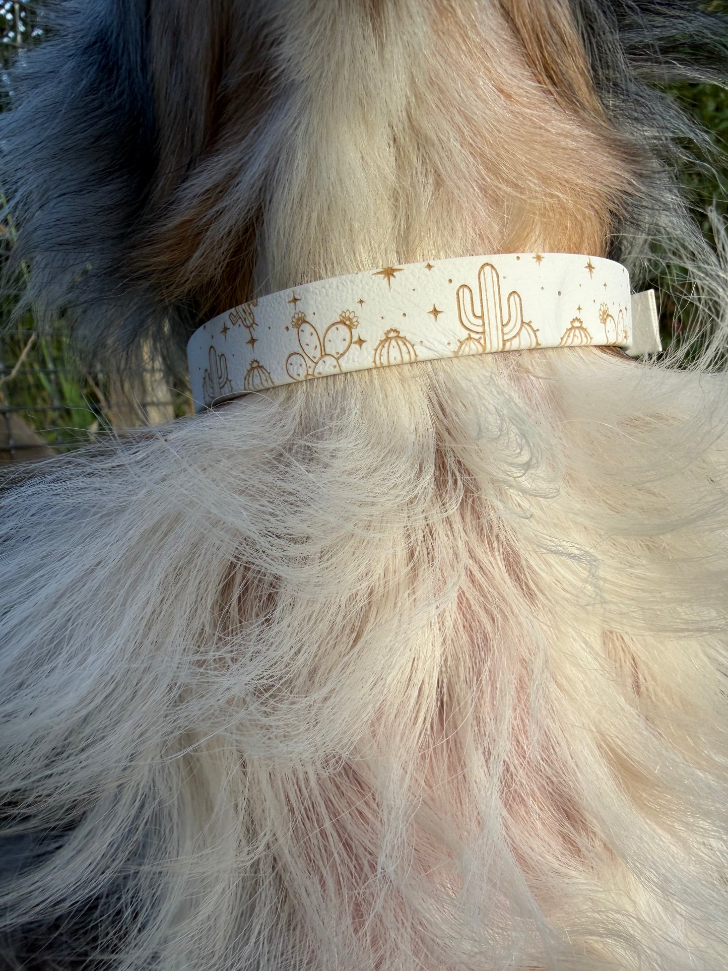 Collier biothane pour chien A mes tendres gardiens Lucky