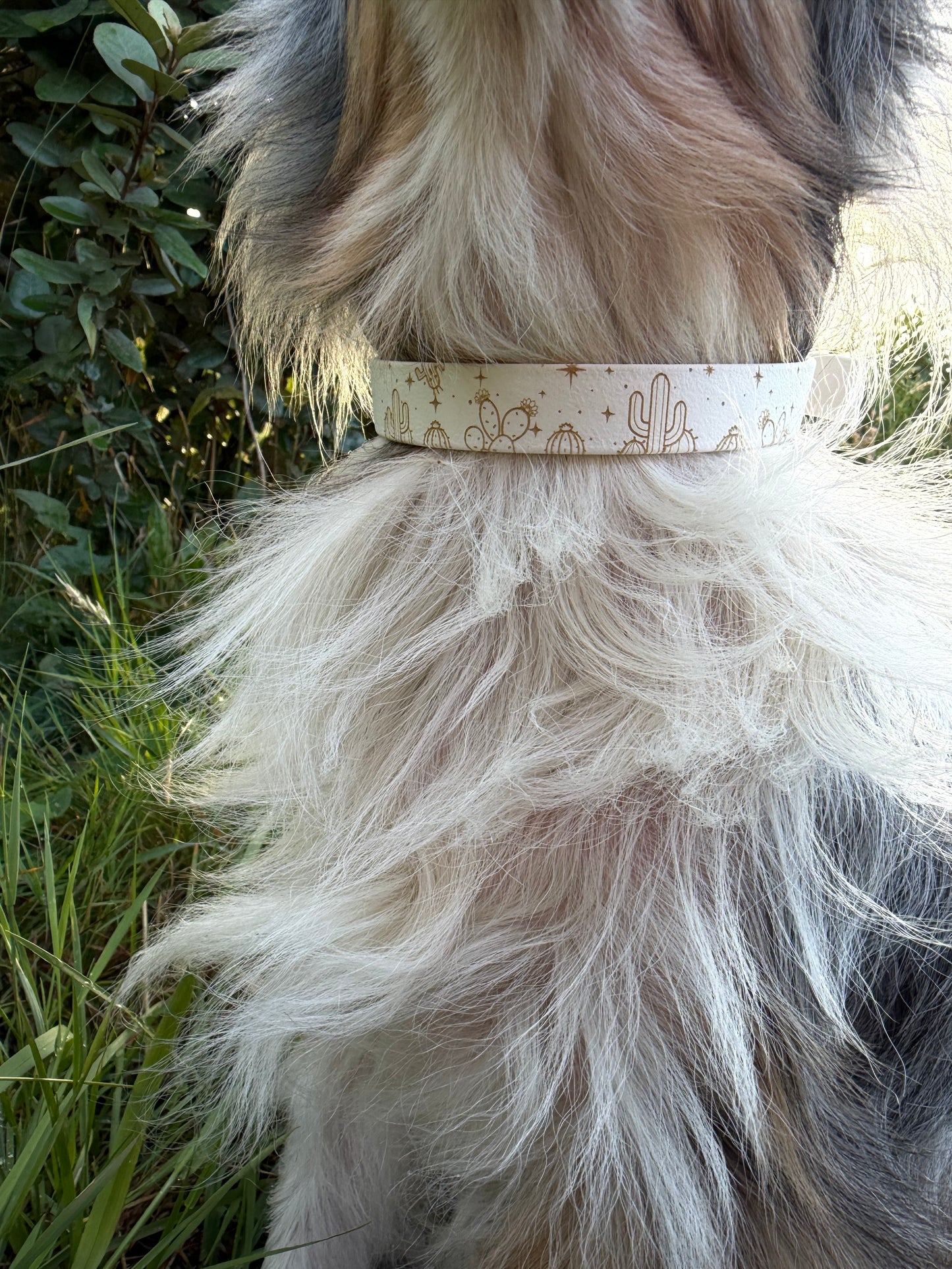 Collier biothane pour chien A mes tendres gardiens Lucky