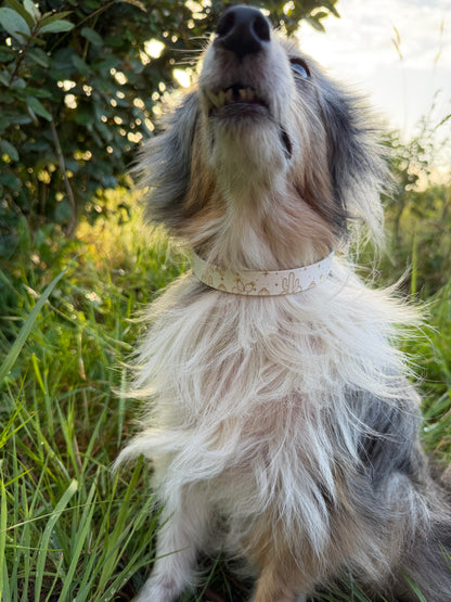 Collier biothane pour chien A mes tendres gardiens Lucky