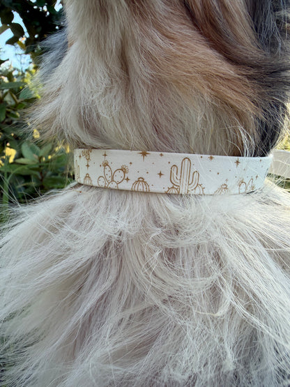 Collier biothane pour chien A mes tendres gardiens Lucky