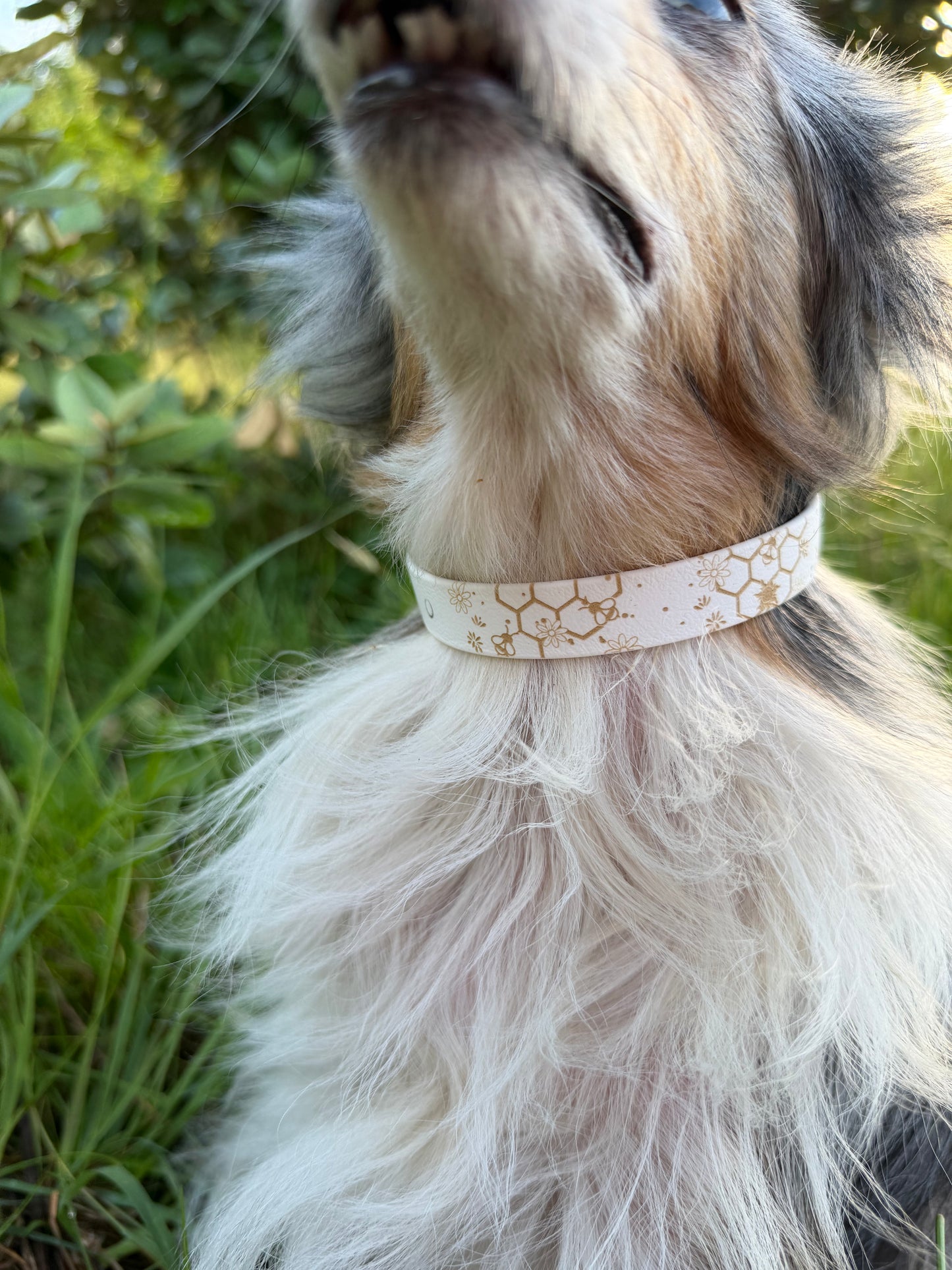 Collier biothane pour chien A mes tendres gardiens Mallow