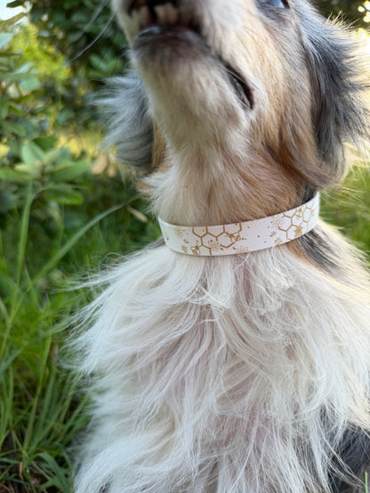 Collier biothane pour chien A mes tendres gardiens Mallow
