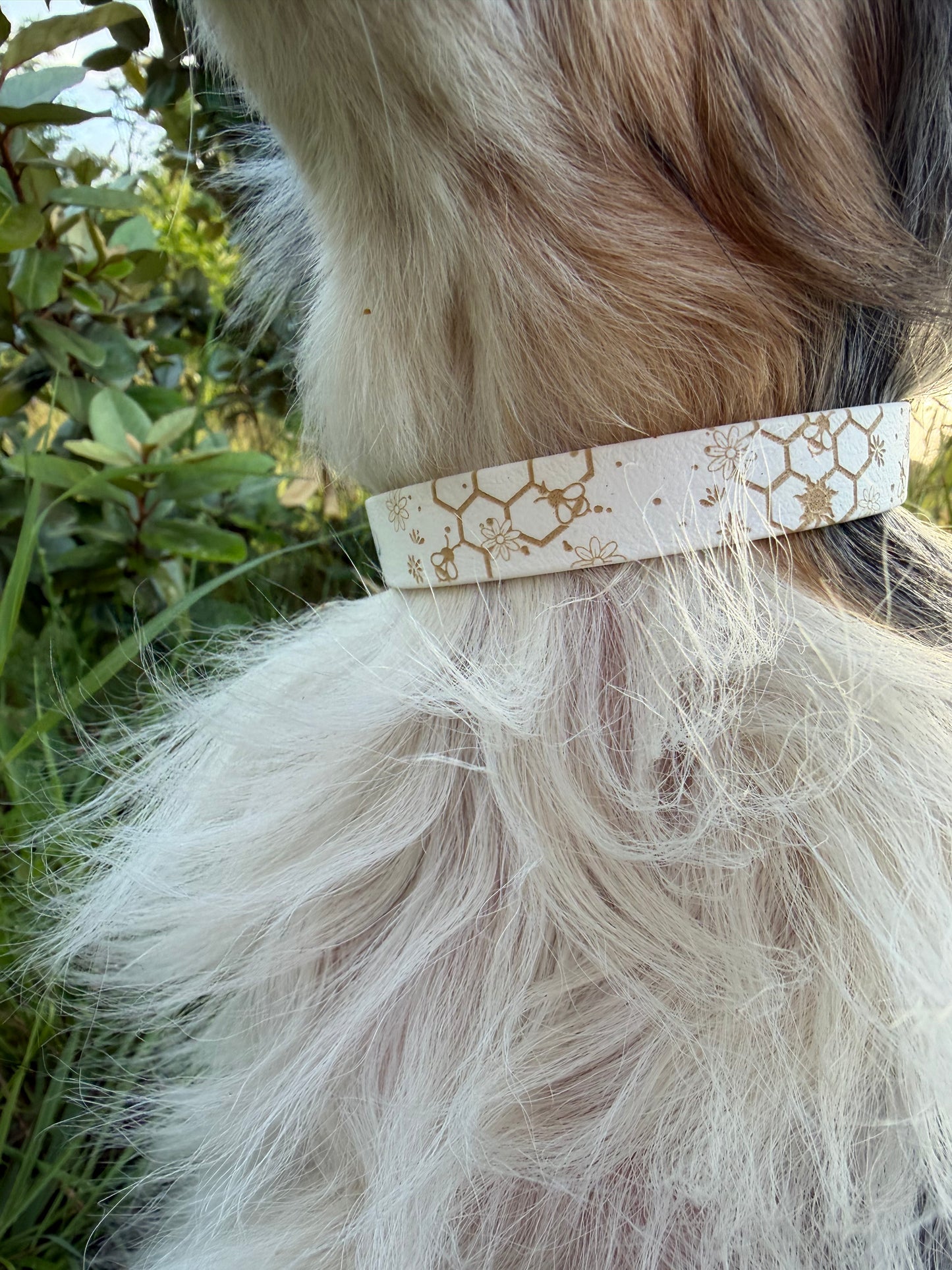 Collier biothane pour chien A mes tendres gardiens Mallow
