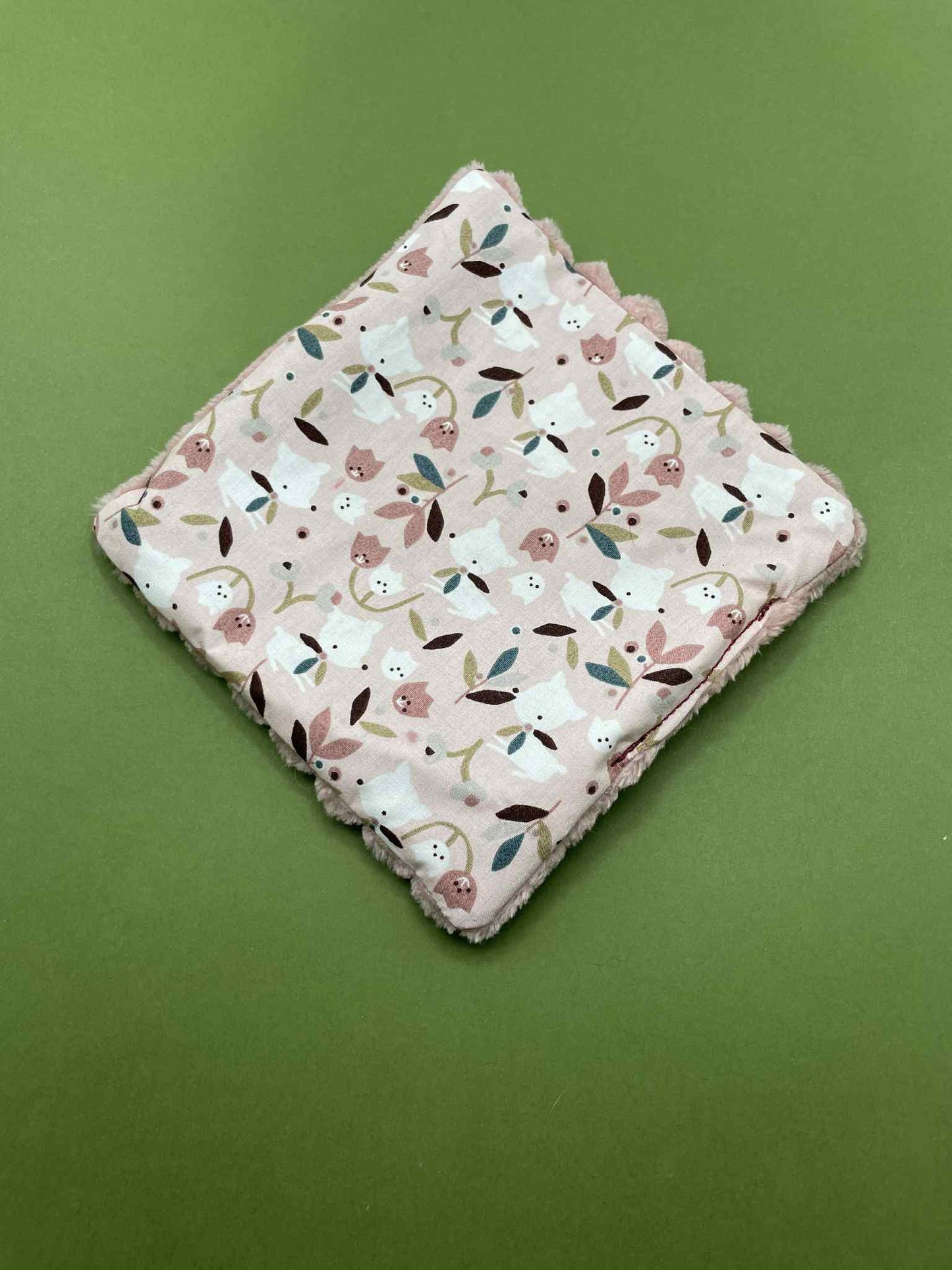 Carré Crispy jouet pour chat à la valérianne Clochette