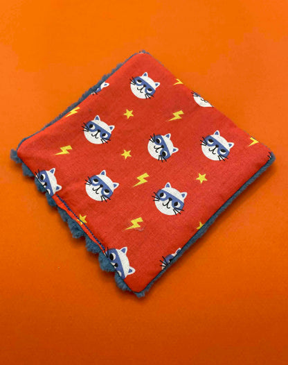 Carré Crispy jouet pour chat à la valérianne Super Cat