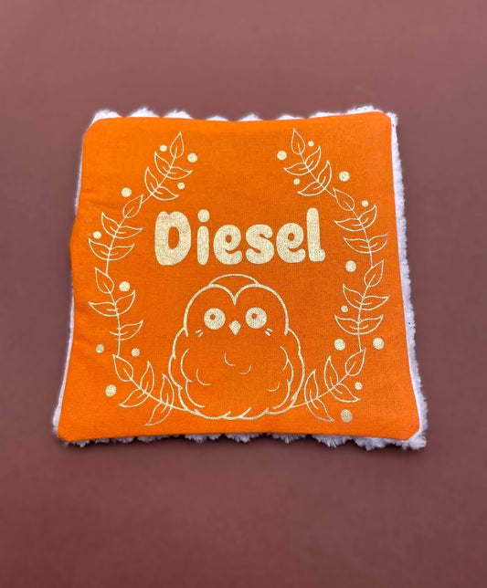 Carré crispy personnalisable jouet pour chat Amatxi