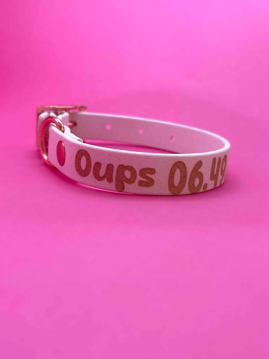 Collier pour chien biothane avec gravure nom de l'animal