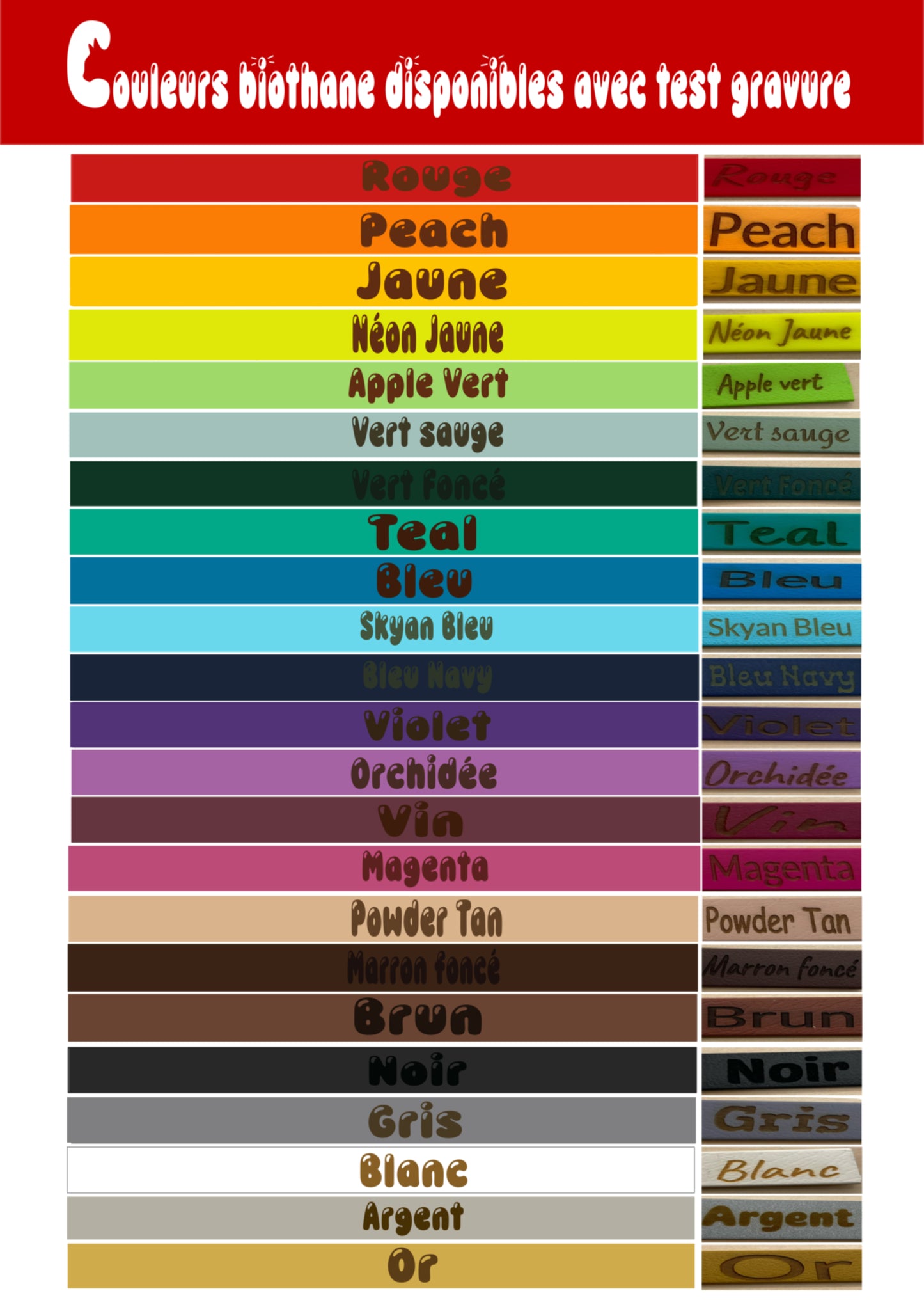 Licol pour cheval couleur uni avec nom de l'animal