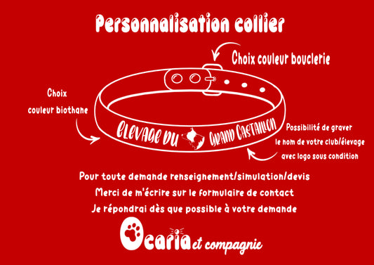 Collier chien à personnaliser