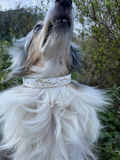 Collier biothane pour chien Dragon de la sagesse