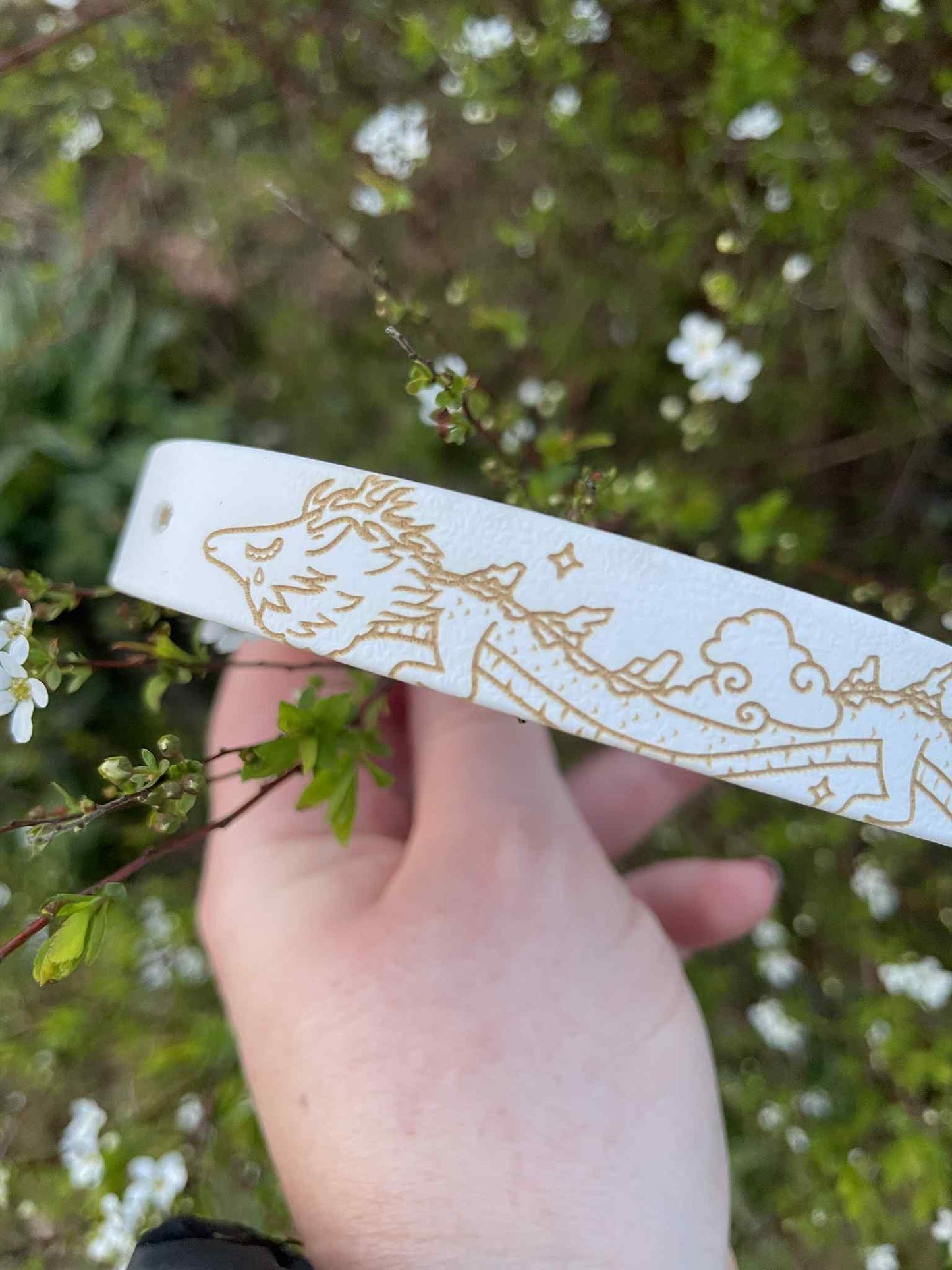 Collier biothane pour chien Dragon de la sagesse