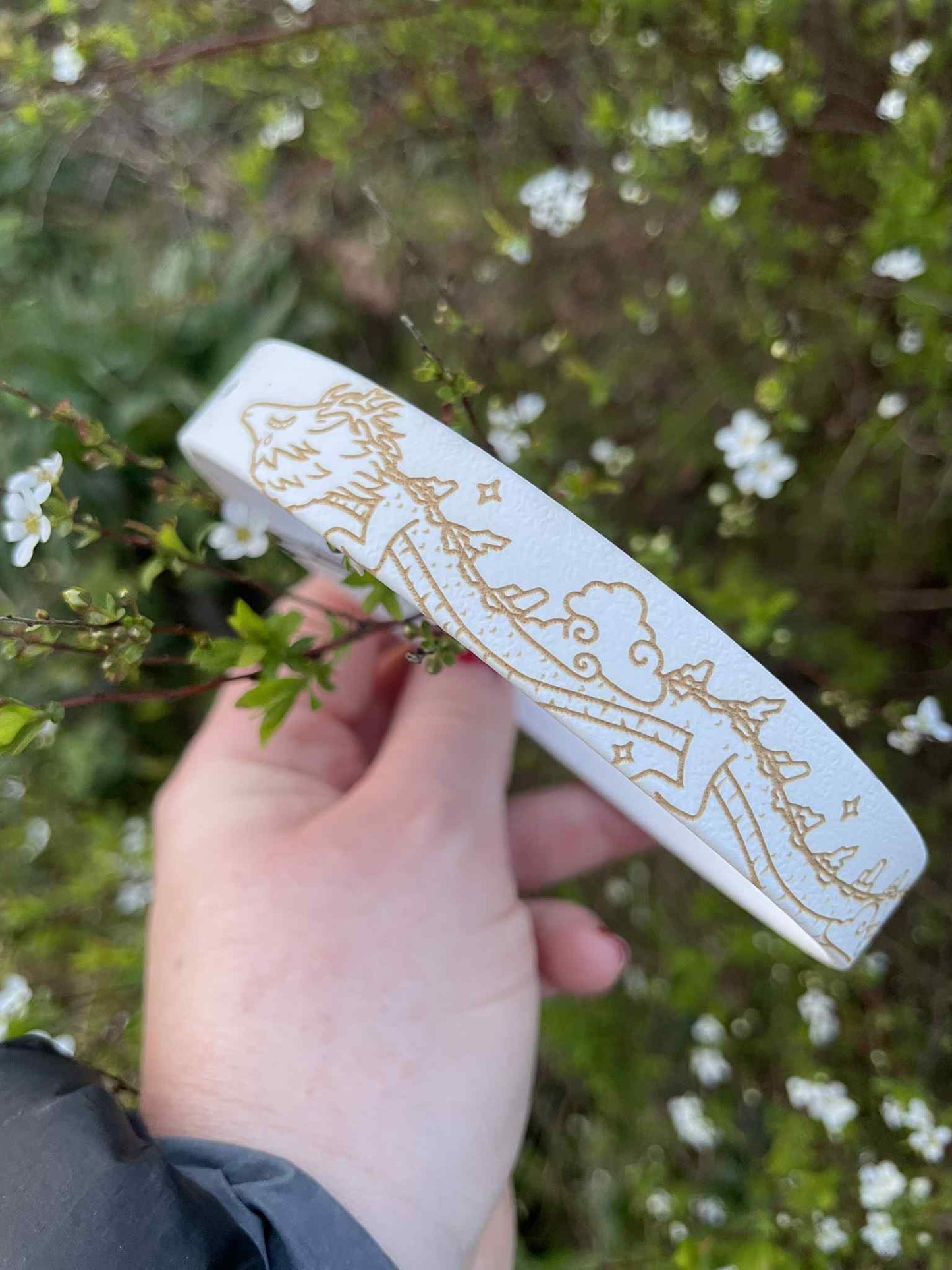 Collier biothane pour chien Dragon de la sagesse