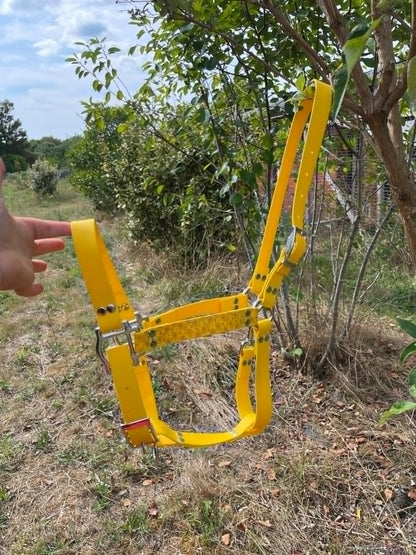 Licol pour cheval motif Valentin