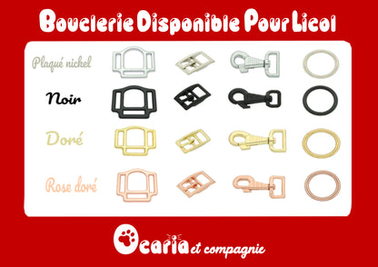 Licol pour cheval couleur uni avec nom de l'animal