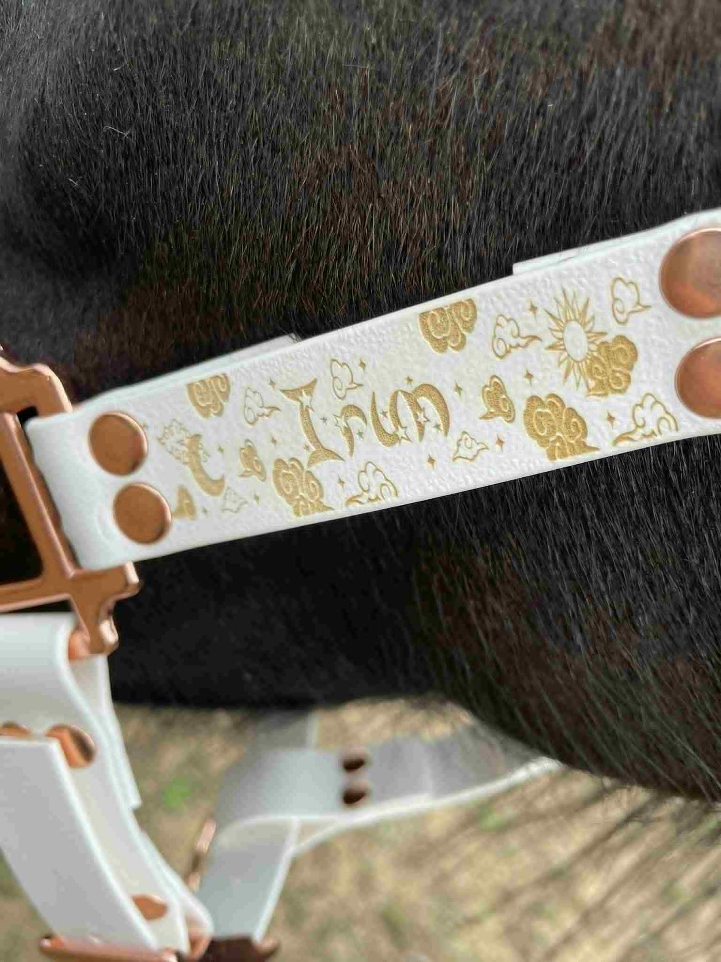 Licol pour cheval motif 17