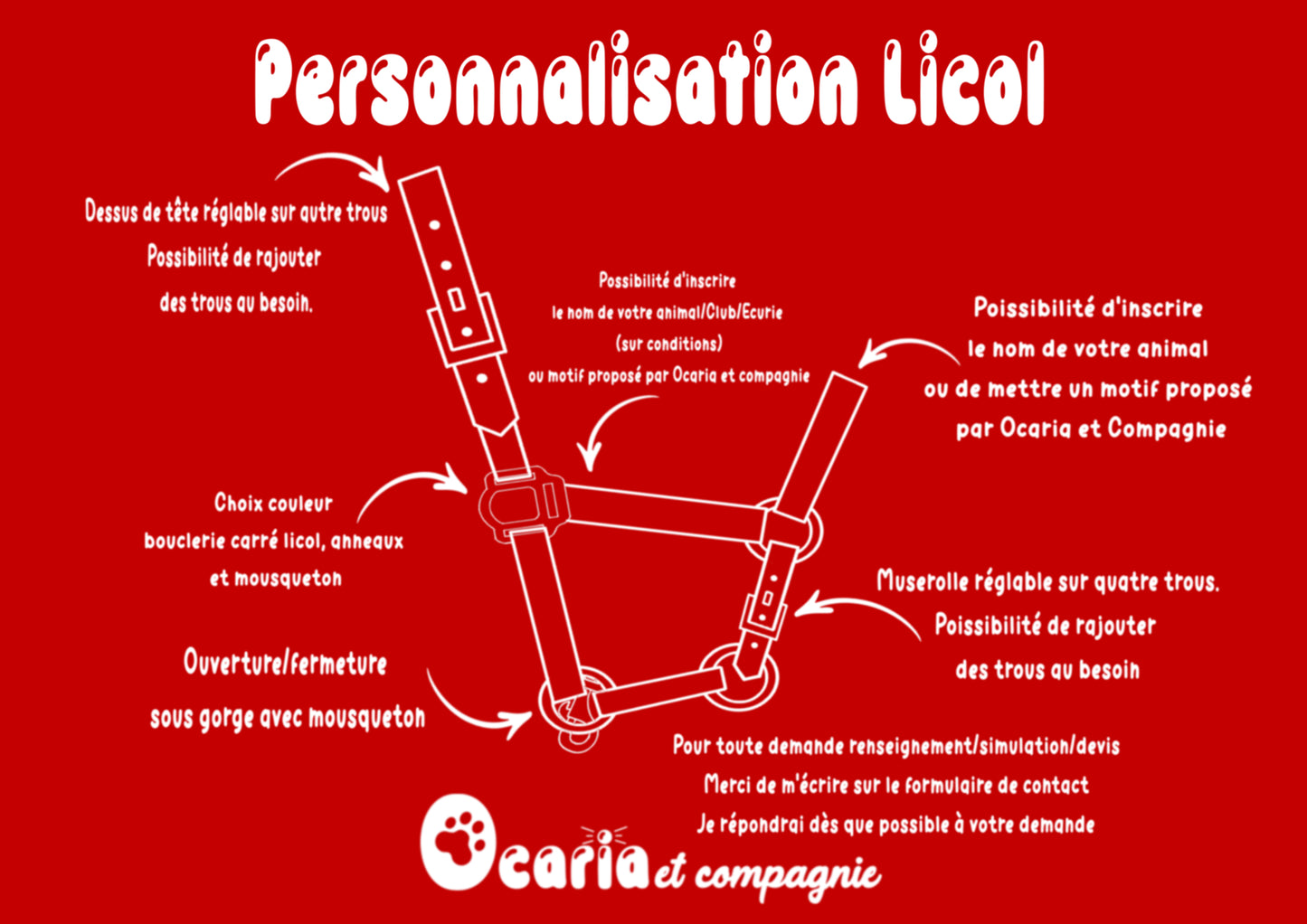 Licol pour cheval à personnaliser