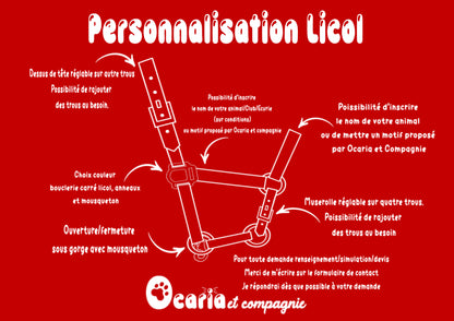 Licol pour cheval à personnaliser