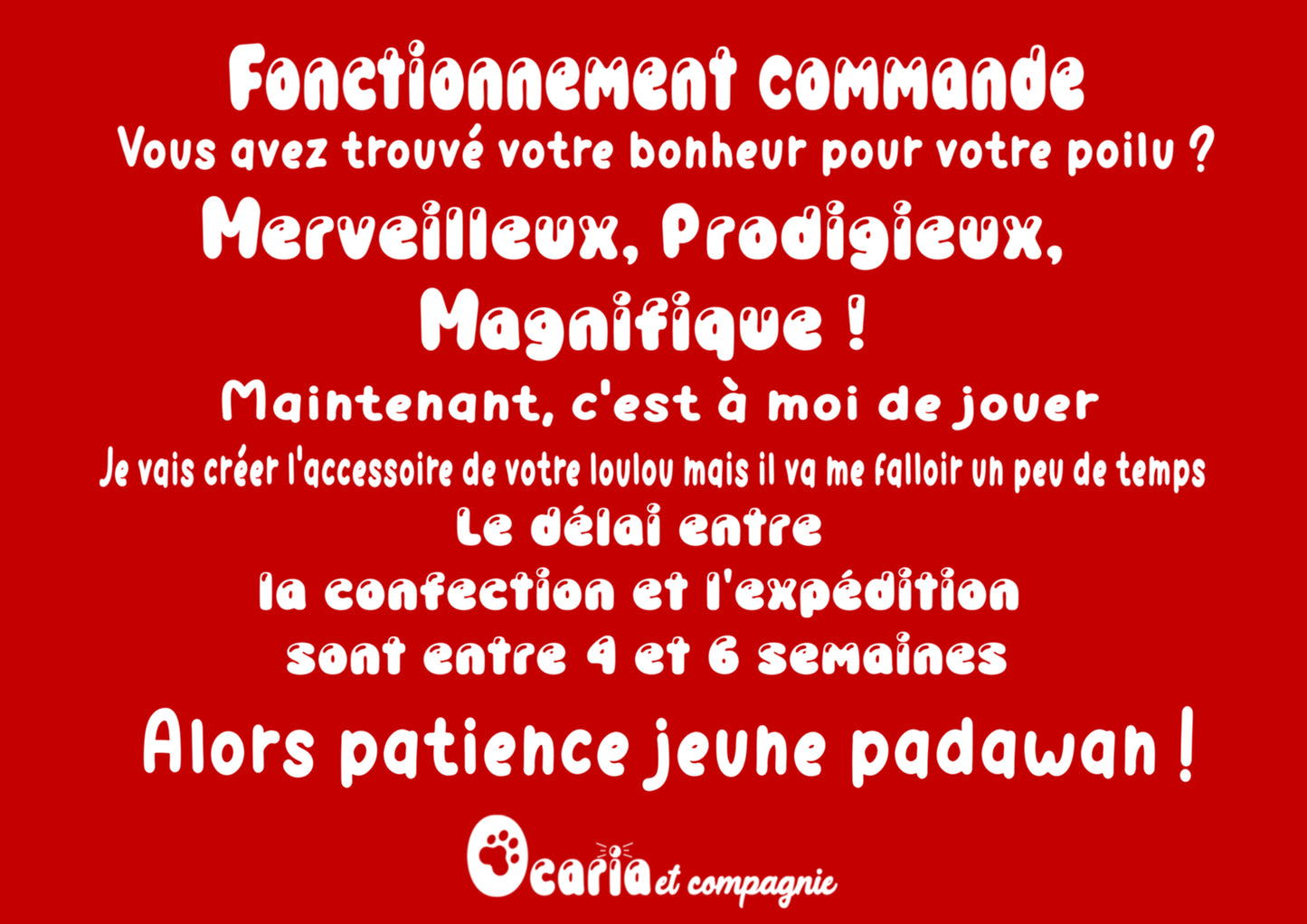 Laisse en biothane couleur uni