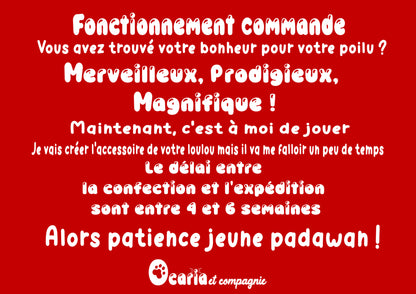 Laisse en biothane couleur uni