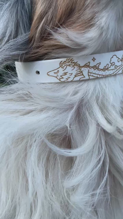 Collier biothane pour chien Dragon de la sagesse