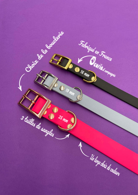 Collier pour chien biothane avec gravure nom de l'animal