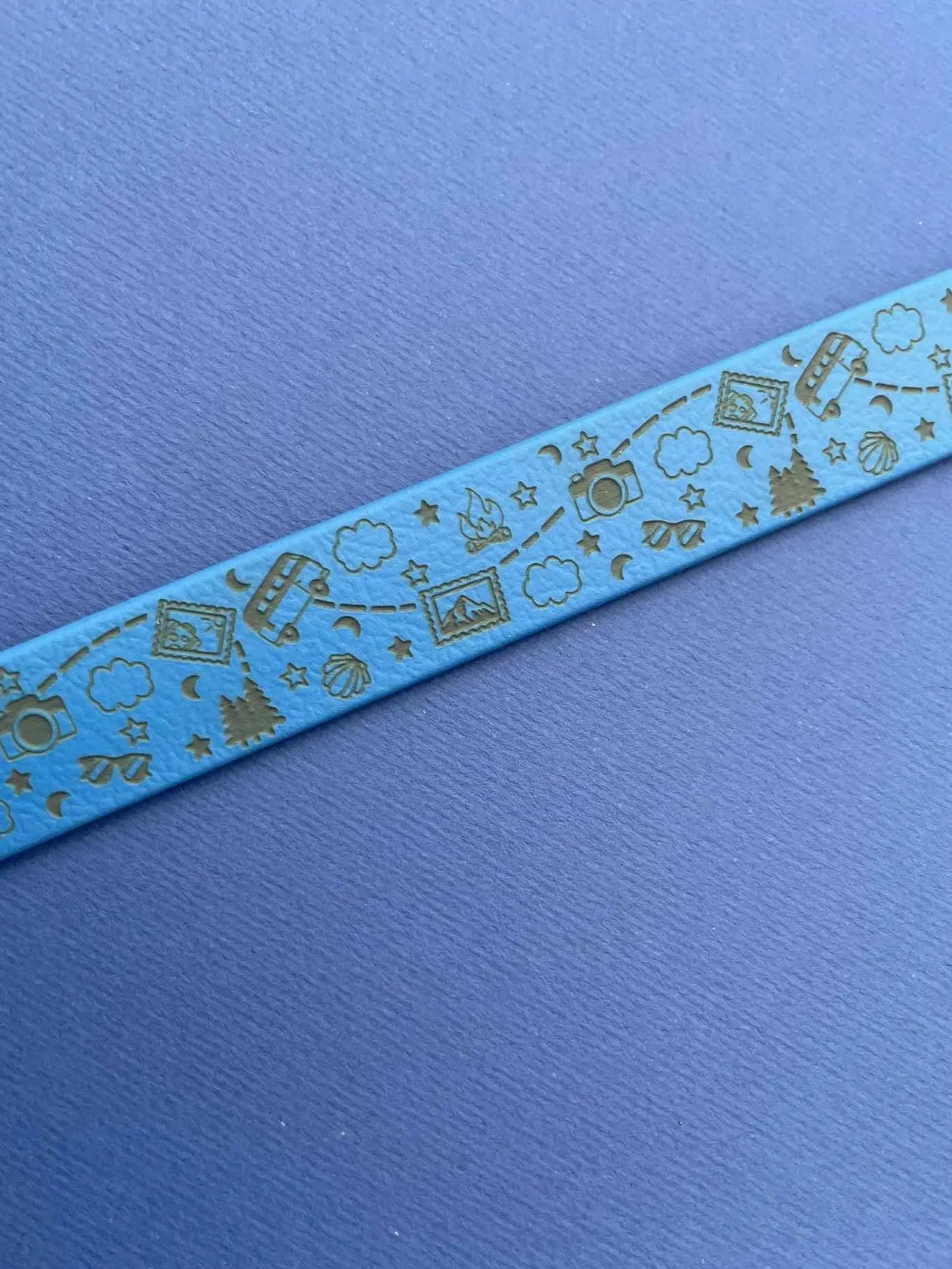 Collier biothane pour chien motif Van life Ocaria et Compagnie